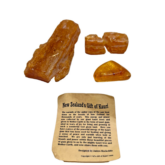 4 Kauri Amber Tree Gum Specimens and Piece of Polished Kauri with Insect Inside